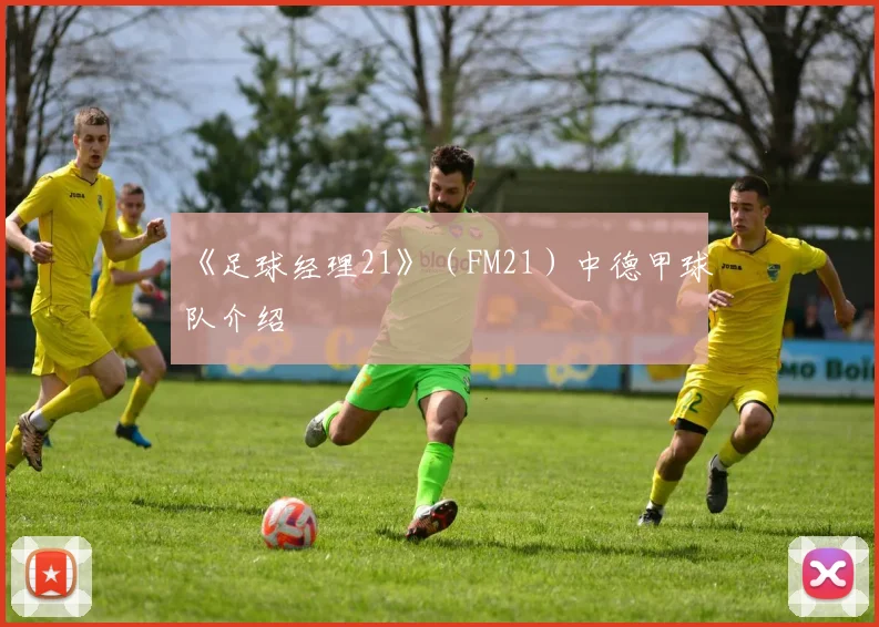 《足球经理21》（FM21）中德甲球队介绍