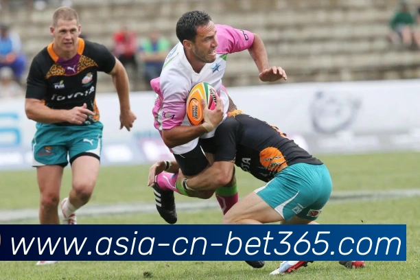 多媒体互动体验